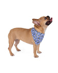 Dog Bandana (Azure Blue) - Radiant Dogs