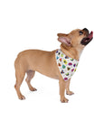 Dog Bandana (Cloudy Grey) - Radiant Dogs