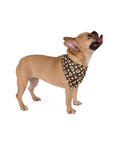 Dog Bandana (Dark Brown) - Radiant Dogs