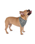 Dog Bandana (Dark Grey) - Radiant Dogs