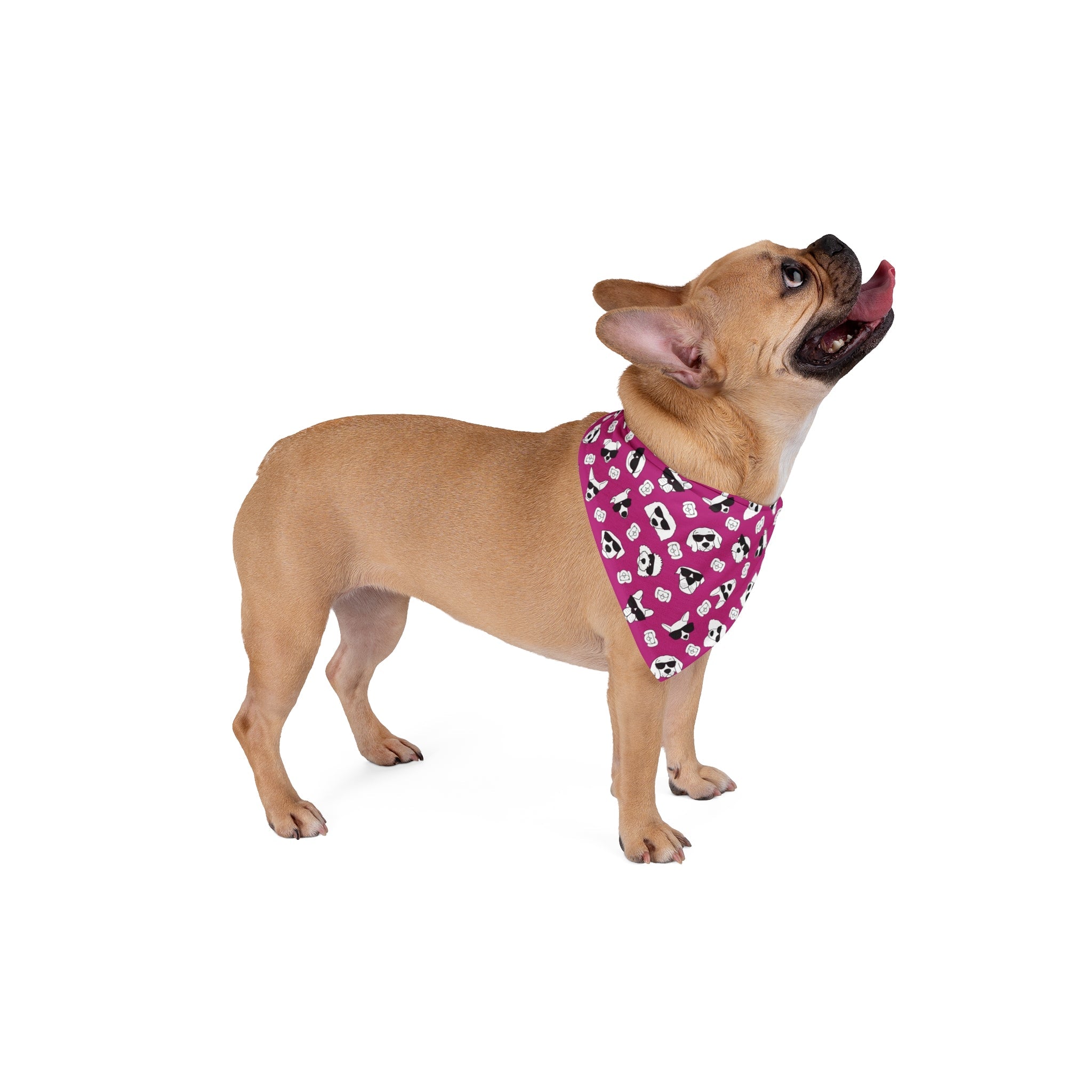 Dog Bandana (Dark Pink) - Radiant Dogs