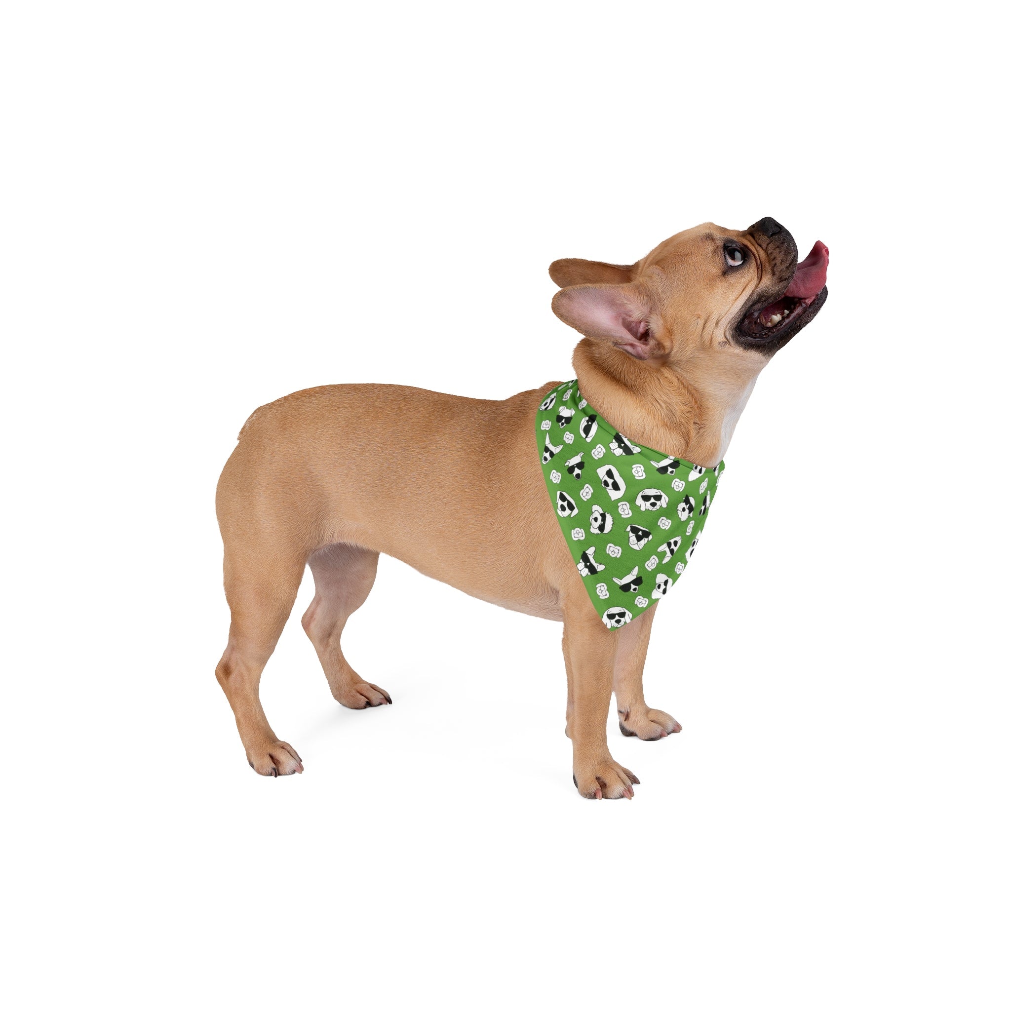 Dog Bandana (Green) - Radiant Dogs