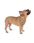 Dog Bandana (Light Brown) - Radiant Dogs