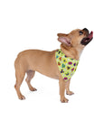 Dog Bandana (Lime Green) - Radiant Dogs