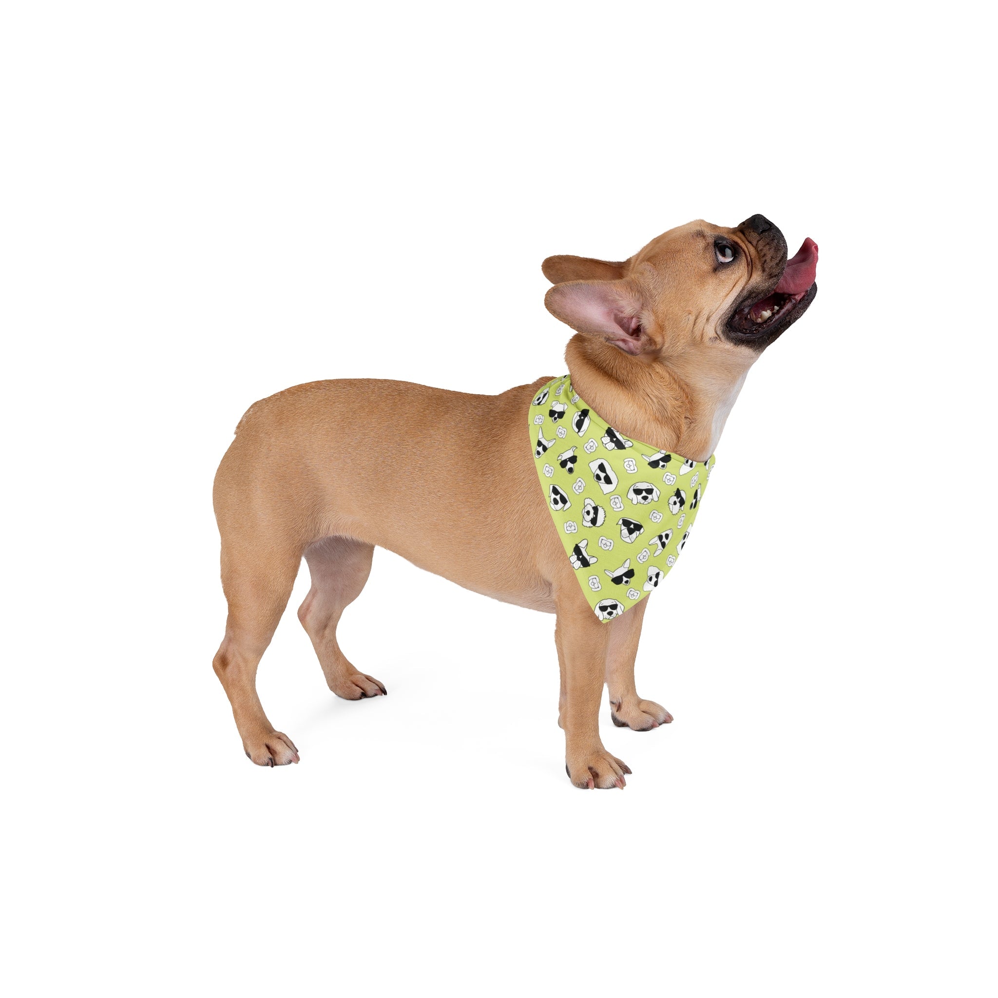 Dog Bandana (Lime Green) - Radiant Dogs