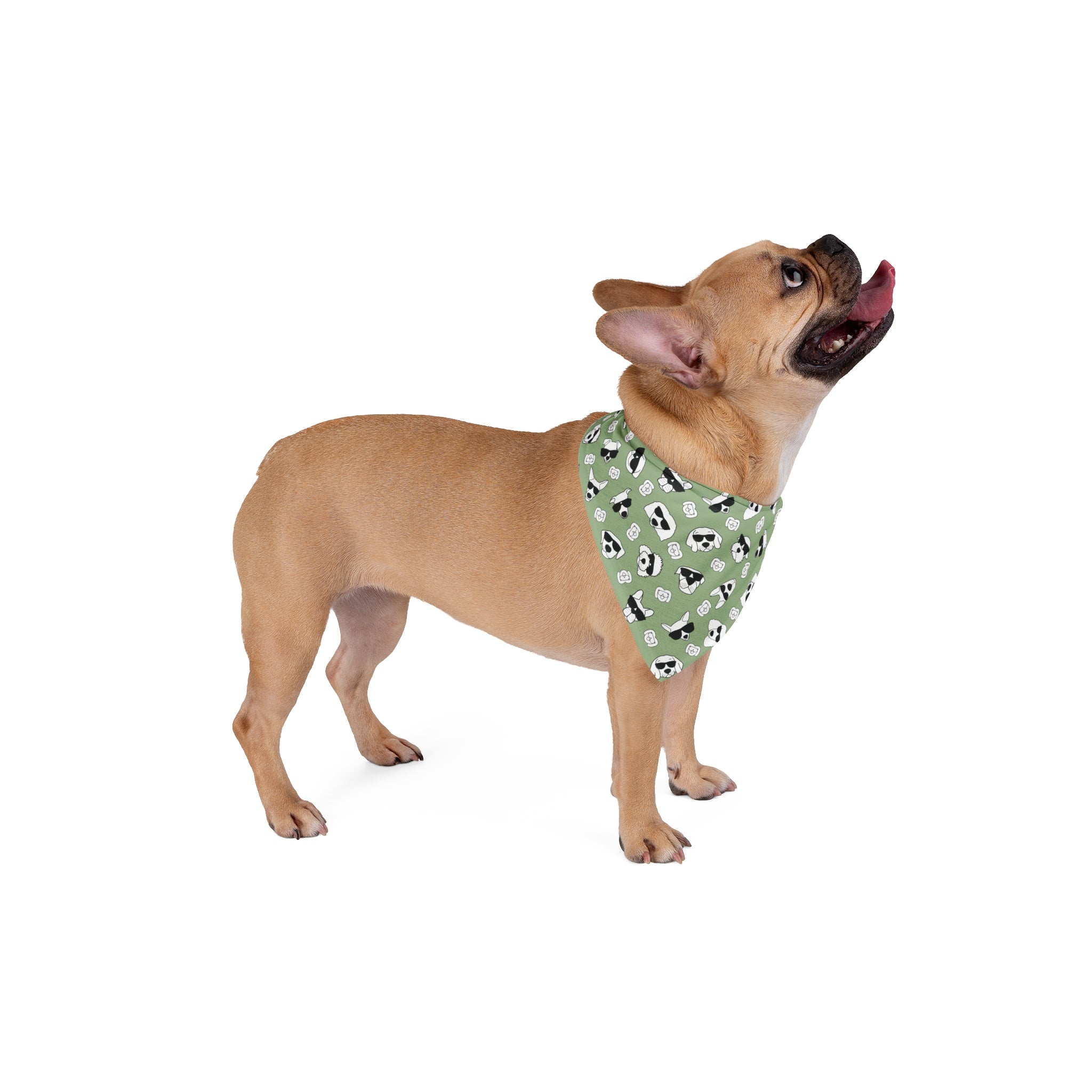 Dog Bandana (Olive Green) - Radiant Dogs
