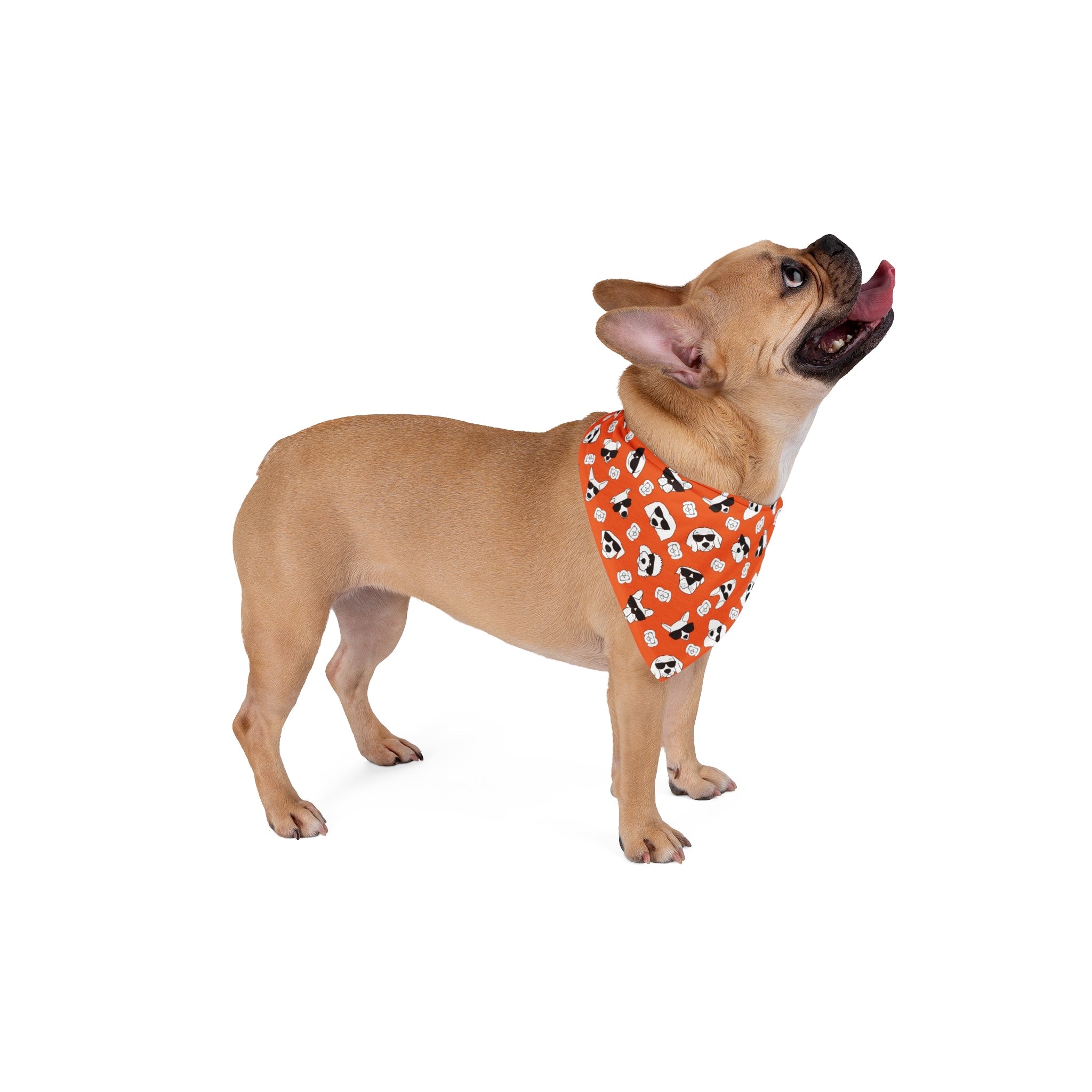 Dog Bandana (Orange) - Radiant Dogs