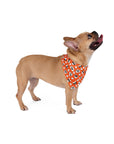 Dog Bandana (Orange) - Radiant Dogs