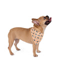 Dog Bandana (Pastel Apricot) - Radiant Dogs