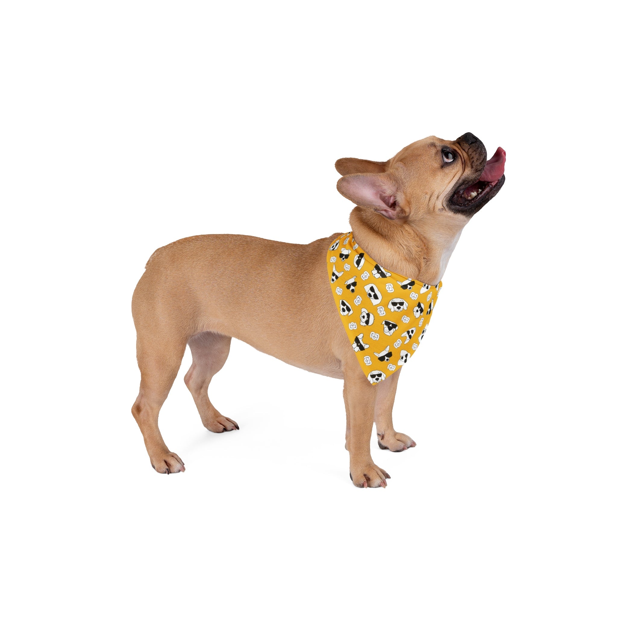 Dog Bandana (Yellow) - Radiant Dogs