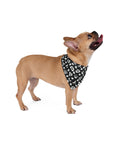 Dog Bandana (Black) - Radiant Dogs