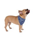 Dog Bandana (Dark Blue) - Radiant Dogs