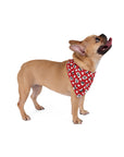 Dog Bandana (Dark Red) - Radiant Dogs