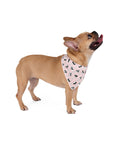 Dog Bandana (Ice Cream Pink) - Radiant Dogs