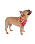 Dog Bandana (Red) - Radiant Dogs