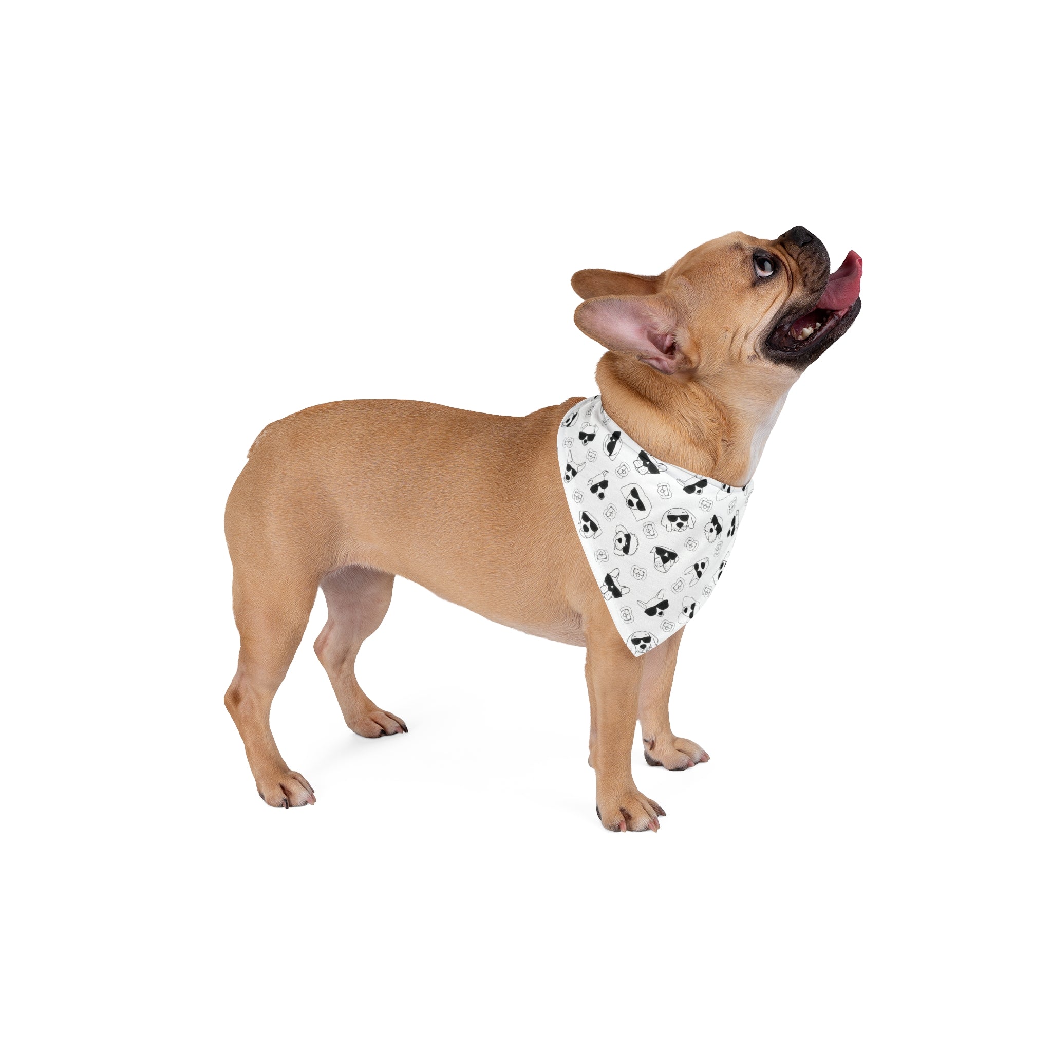 Dog Bandana (White) - Radiant Dogs