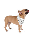 Dog Bandana (White) - Radiant Dogs